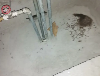 大祥卫生间测漏水价格明细